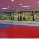 태권숲 여아전문태권도장 이미지