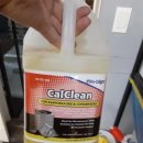 나인손세차 이미지