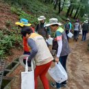 동부자원 이미지