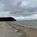 숲 펜션&캠핌장 이미지