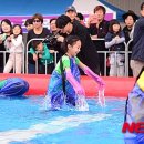 황금물고기