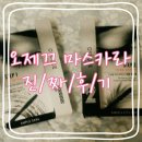 오제끄마스카라추천 진짜후기