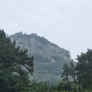 모니카한복