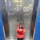 상인상회 | 노량진수산시장 '이레상회' 내돈내산 네이버 예약 후 도다리·광어회 포장 후기