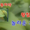 여수황칠