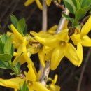 논공중앙로 이미지