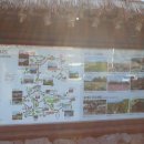 우정렌트카 이미지