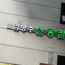 양재탁구장노화자탁구교실
