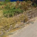 학천농장 이미지