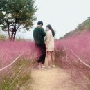 동호유적근린공원 이미지