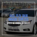 SY모터스 이미지