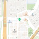 분당고양이분양 고사남 이미지