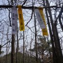 곡성-237 Daum카페