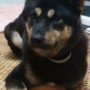 고현낚시터 이미지