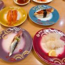 스시마니아 | 추성훈도 다녀간 삿포로 맛집 토리톤스시 솔직 리뷰ㅣ웨이팅 후기