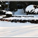 안산 식물원 이미지