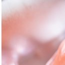 굿모닝유치과의원 이미지