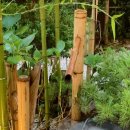 수성가든 이미지