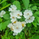 수원프리미엄아울렛 시설팀 이미지