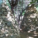 우면산5-5 이미지