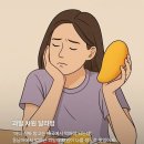 보자무싸