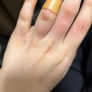 우당탕탕 사고뭉치 이미지