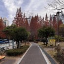 월영연못공원 이미지