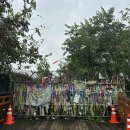 2025 파주시티투어 당일코스(금요일) | 파주 : 파주시티투어 토요일 코스 ( 임진각 ~ DMZ ~ 제 3 땅굴) 후기