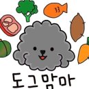 도도그 이미지