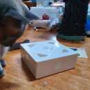 스마트캣 이미지