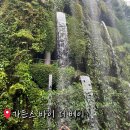 호텔더베이21 | 싱가포르 가든스 바이 더 베이 입장권 티켓 가격 할인 꿀팁! 종류 추천 예약 운영시간은?