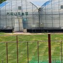 월야농장 이미지