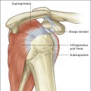 동빈한의원 이미지