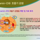 비타민별별 이미지
