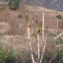 산막이옛길 하얀집 이미지