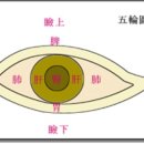 송암한의원 네이버블로그