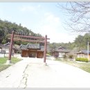 강진8호 이미지