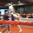 뱅뱅 복싱클럽 이미지