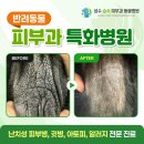 성수 숲속 피부과 동물병원 이미지