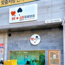 BK심장동물병원 | 왕십리동물병원 BK심장동물병원에서 혈액검사 받고 왔어요!