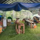 정돈농장 이미지