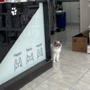 정성환동물병원 이미지