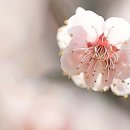 정수남 이미지