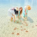 관광단지로 이미지