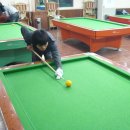 못골당구장 이미지