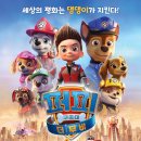 씨티퍼피 이미지