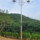 백신경외과의원 이미지