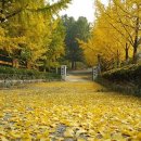 사나래캠핑장 이미지