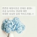 KB국민은행 광복동지점 | [남포동 미용실] 리소헤어 광복점에서 머리도 하고 남포동 트리축제도 즐기셔요