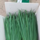 은선농장 이미지